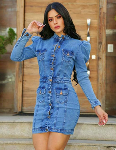 Vestido Manga Bufante Lucineide